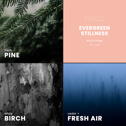 Evergreen Stillness Candle | Pine + Cedar