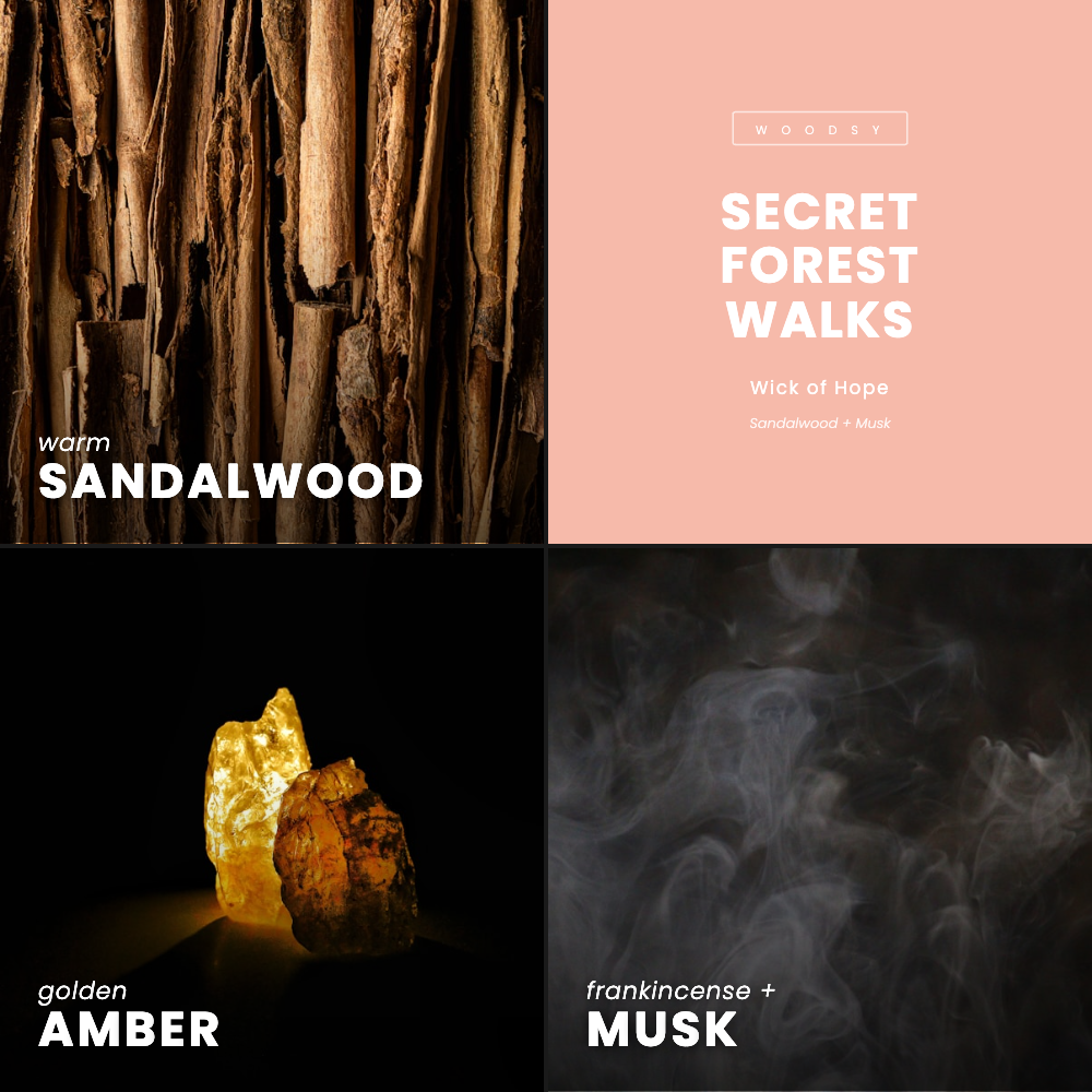 Bougie Promenades Secrètes en Forêt | Bois de Santal + Musc