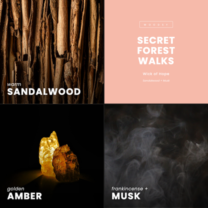 Bougie Promenades Secrètes en Forêt | Bois de Santal + Musc