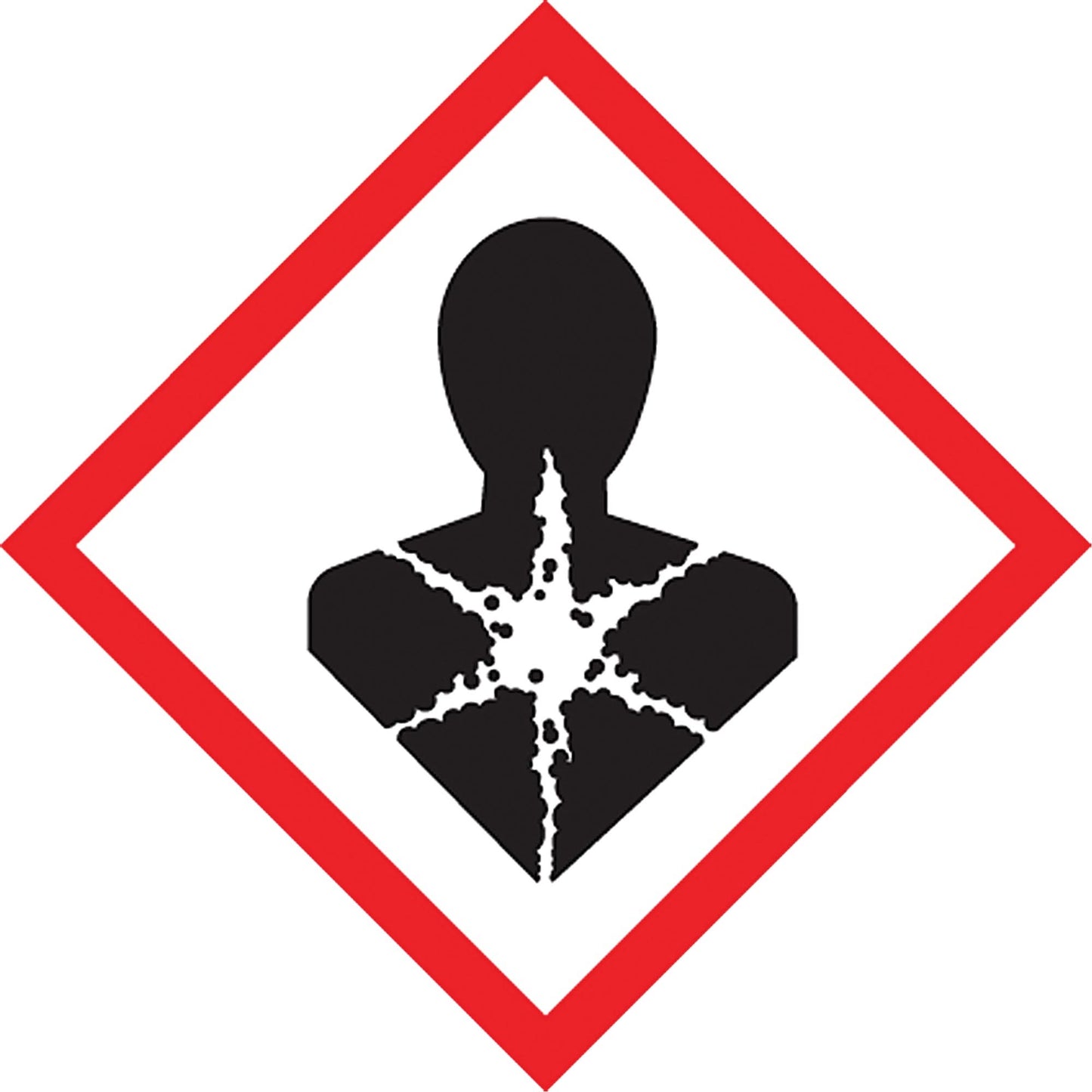GHS Pictogram Labels, Vinyl, Sheet, 4" L x 4" W