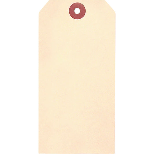 Manila Blank Tags, Cardstock, 3-1/8" W x 6-1/4" H