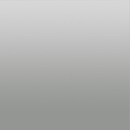 Oracal 751 Glossy Silver