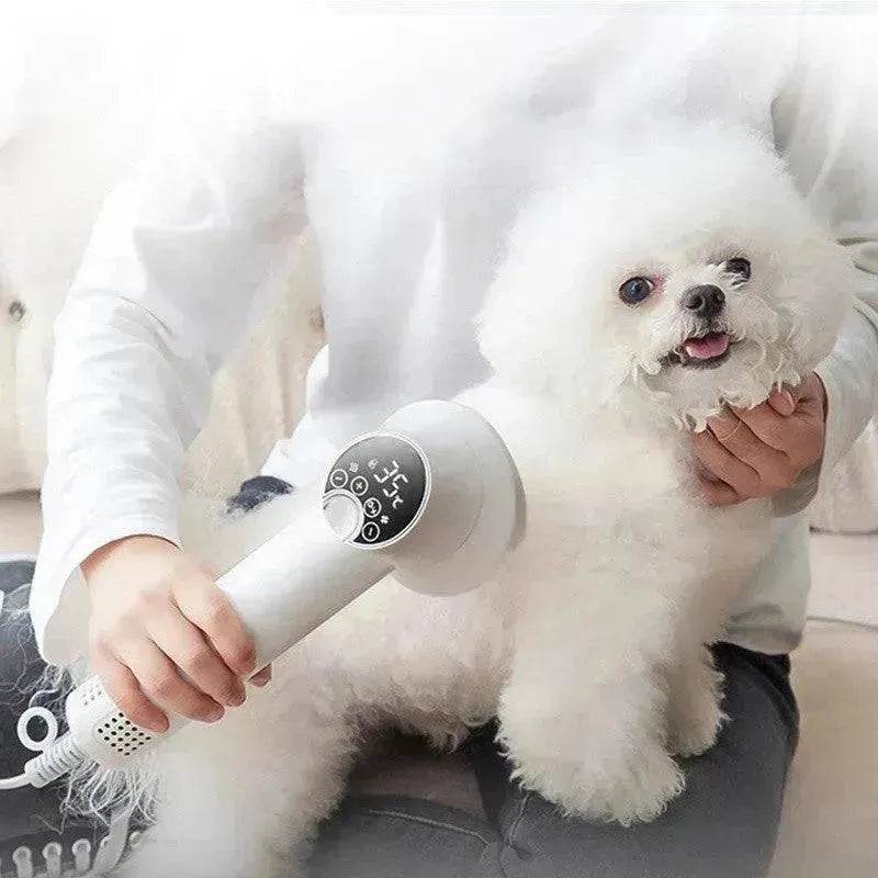 Séchoir intelligent pour animaux de compagnie Chien Golden Retriever Chat Toilettage Coiffure Souffleur et peigne Silencieux Sans danger Fournitures de nettoyage pour animaux de compagnie Produits pour animaux de compagnie