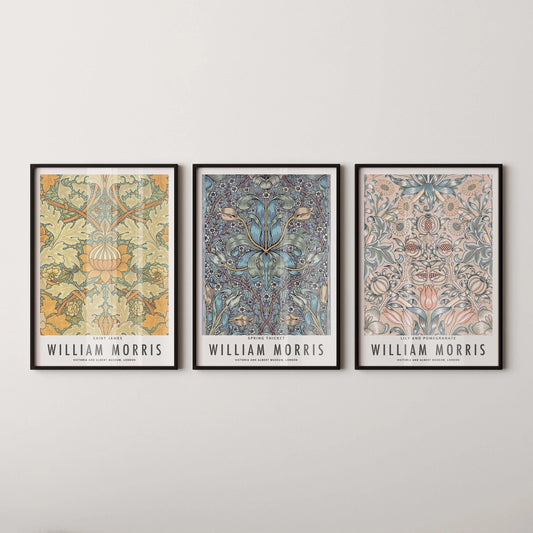 STATEMENT TRIO William Morris | Orange Blue Peach | Vintage Botanical Art Available framed or unframed