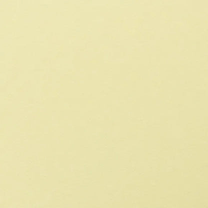 Clairefontaine - Maya Cardstock 120lb Paper - 20x28"