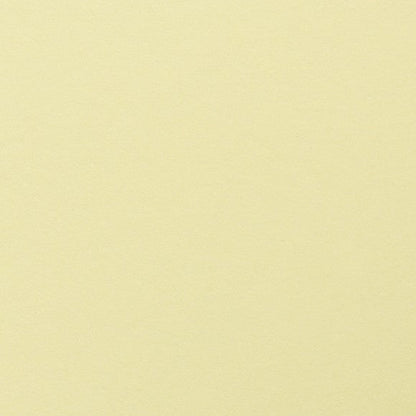 Clairefontaine - Maya Cardstock 120lb Paper - 8¼x11¾"