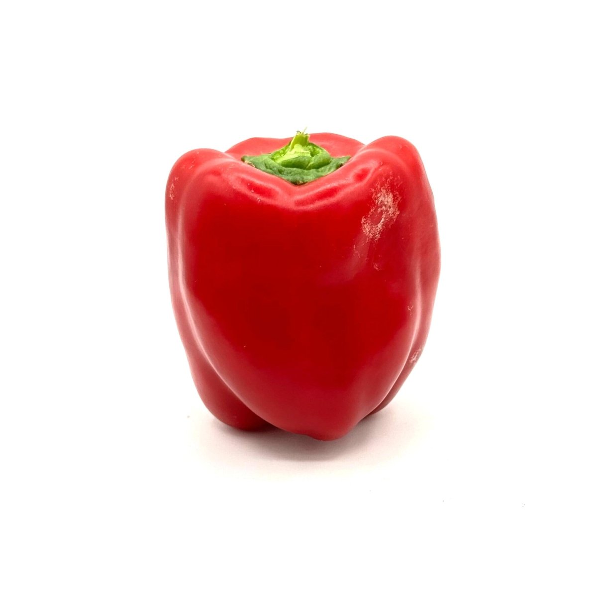 Sweet Peppers - Bell - Fresh Harvest Fruiting Crop