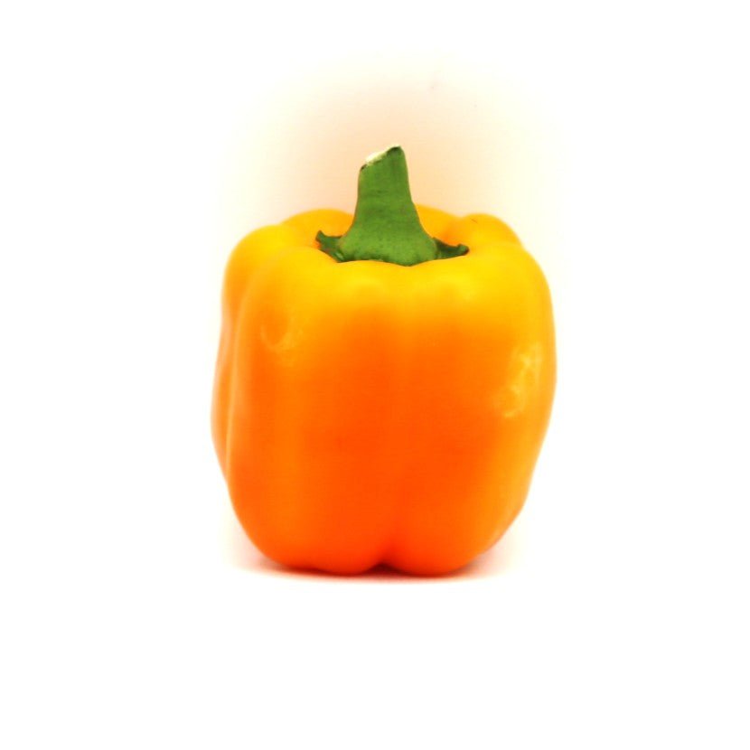 Sweet Peppers - Bell - Fresh Harvest Fruiting Crop