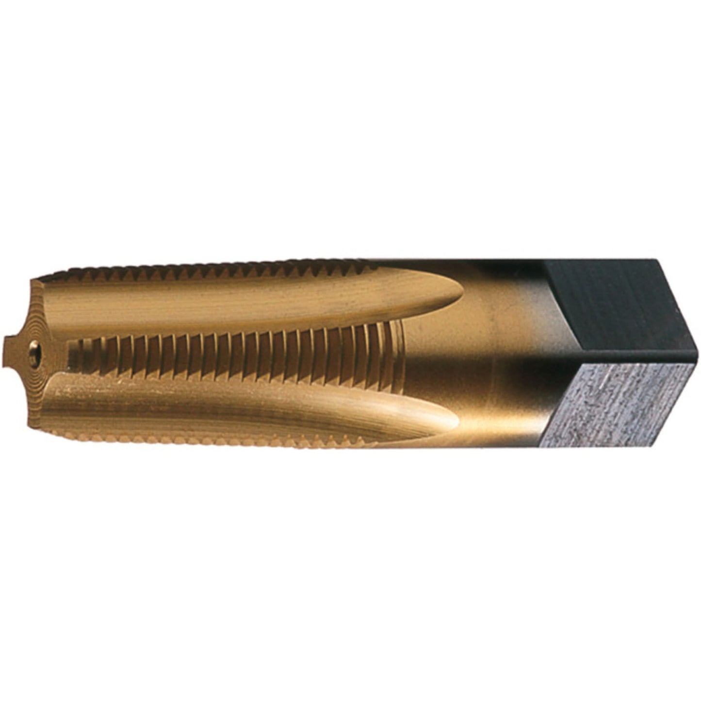 Taraud machine PTT-TN semi-fond, 1-1/2"-11.5, 7 goujures, 4-1/4" L, conique, acier rapide