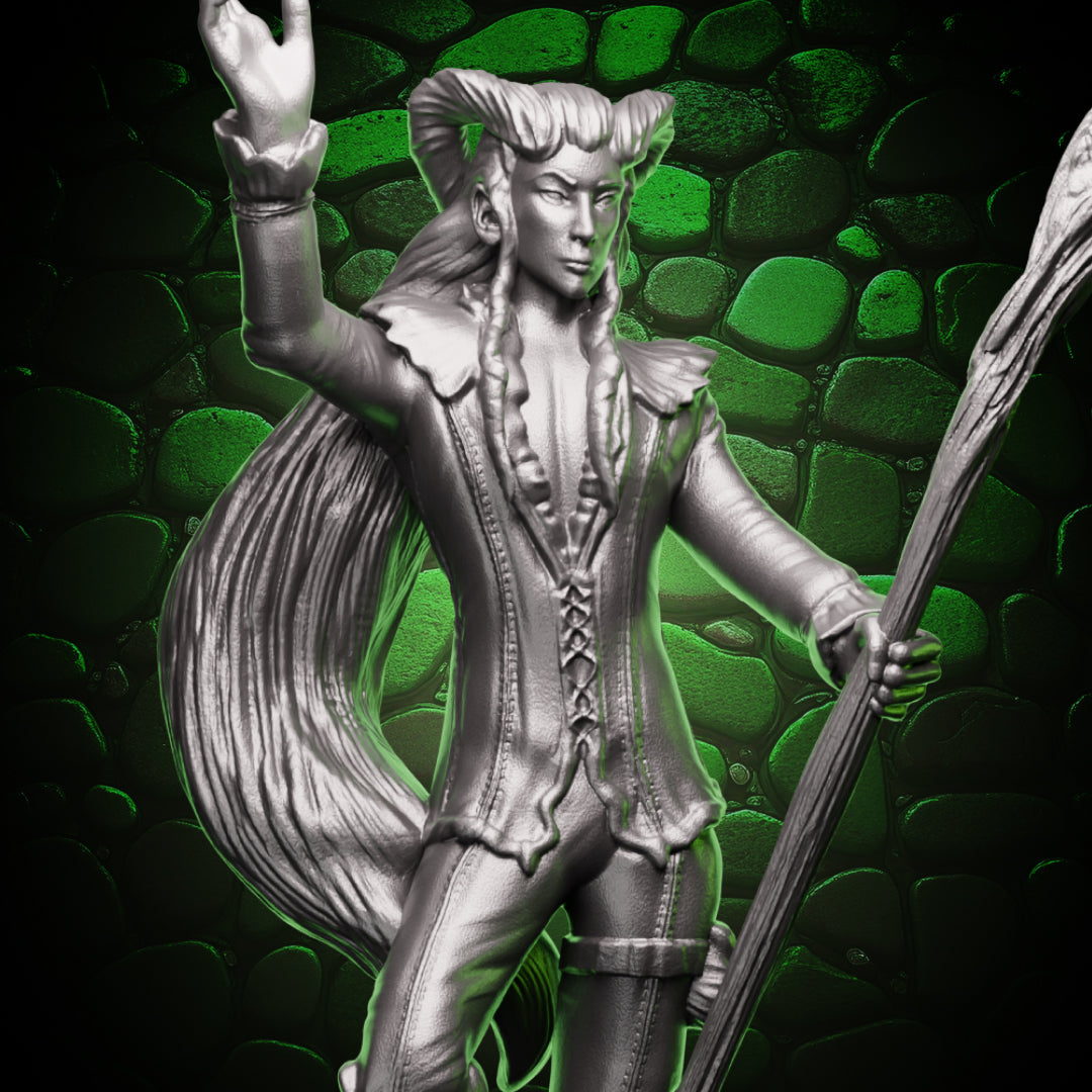 Tiefling Sorcerer | Staff  | 5e