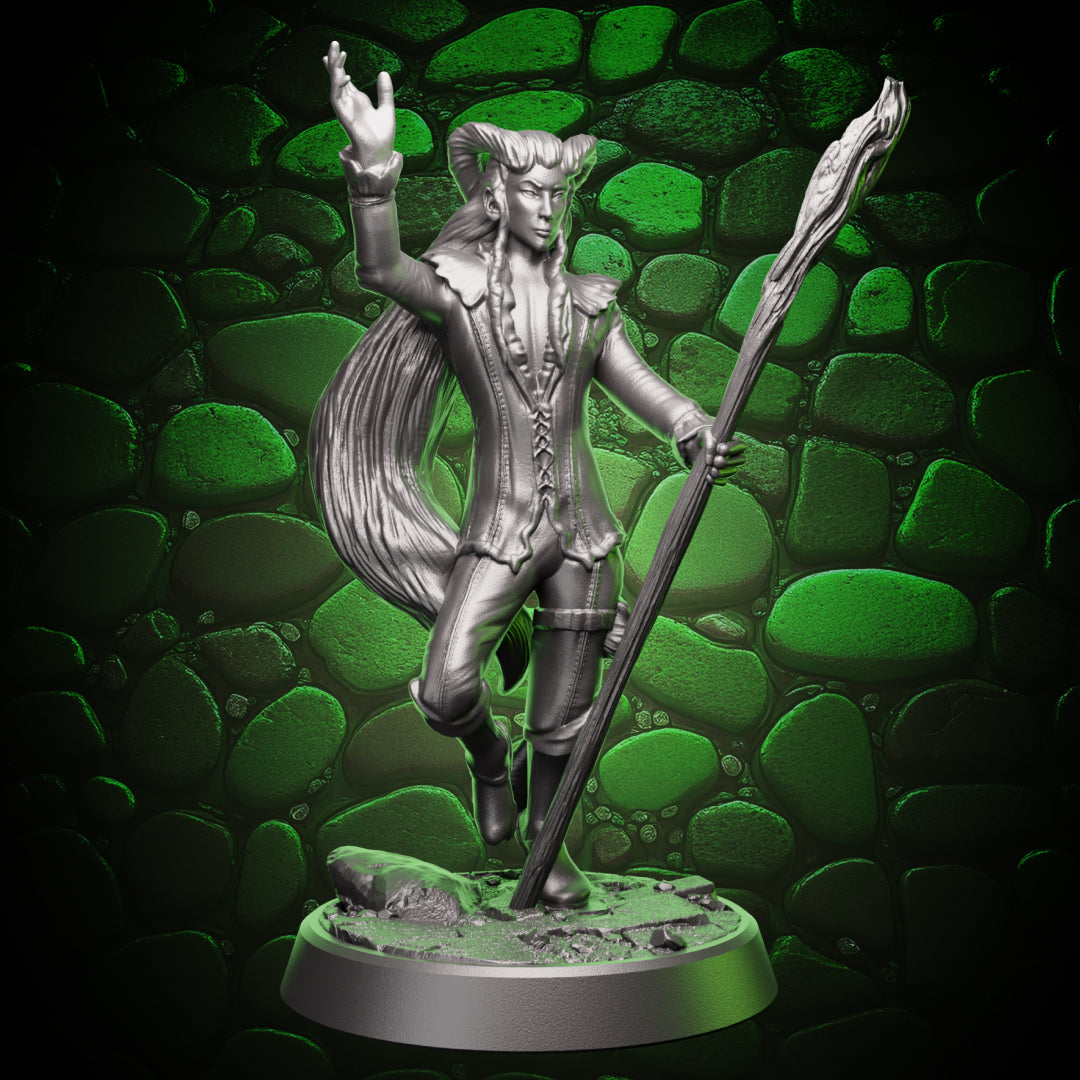 Tiefling Sorcerer | Staff  | 5e