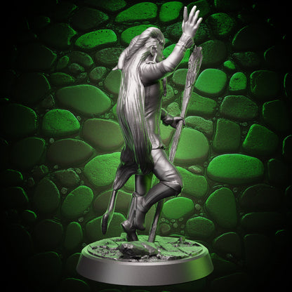 Tiefling Sorcerer | Staff  | 5e