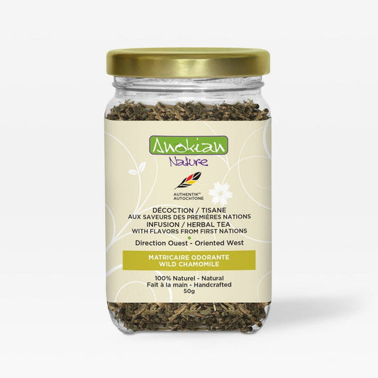 Tisane botanique | Matricaire odorante