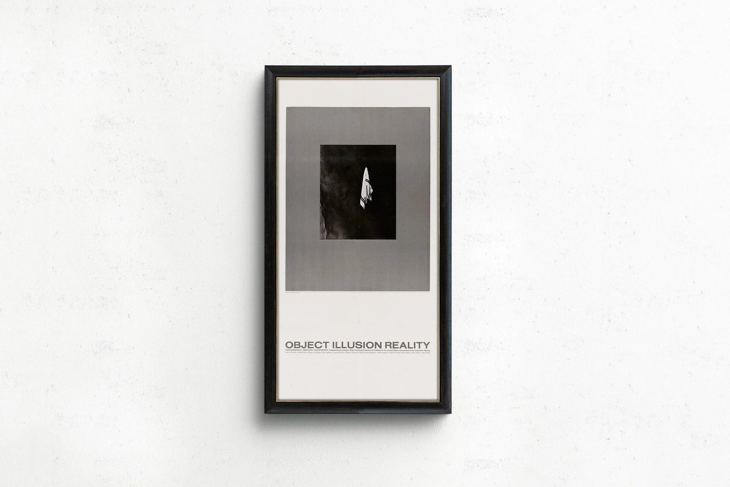 USIA Poster: Object Illusion Reality - Midcentury Modern Giclee Print (2x1)