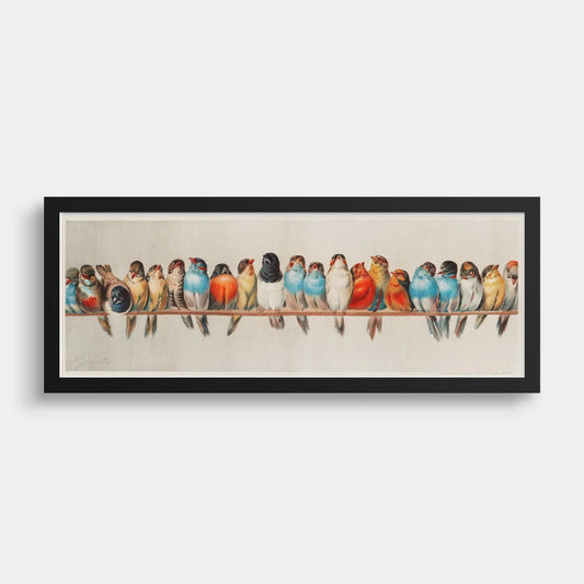 Vintage Bird Print: Colorful Birds on a Wire, Panoramic Artwork