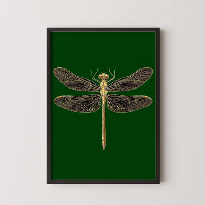 Gold Dragonfly Art Print: Emerald Green Dark Academia Style