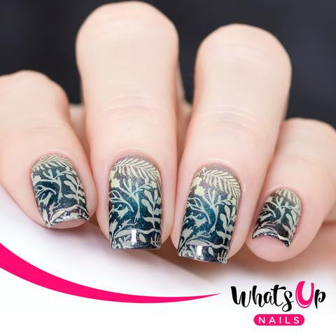 Whats Up - Sprung On Spring Stamping Plate