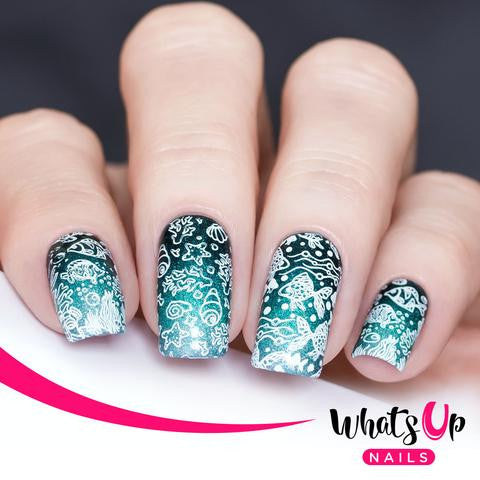 Whats Up - Coasting to the Sea Stamping Plate