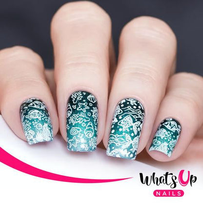 Whats Up - Coasting to the Sea Stamping Plate