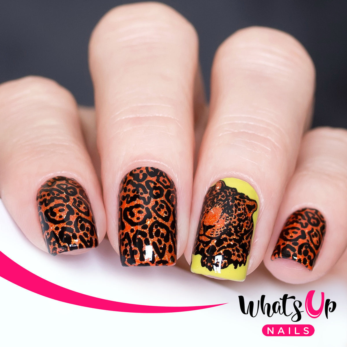 Whats Up - Zoology Trip Stamping Plate