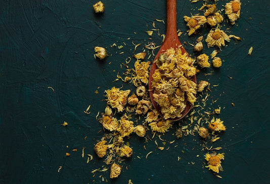Wild-Harvested Arnica Flowers (Arnica Montana)