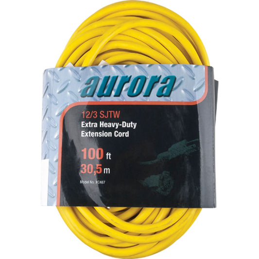 Rallonge en vinyle, extérieure, SJTW, 12/3 AWG, 15 A, 30 m