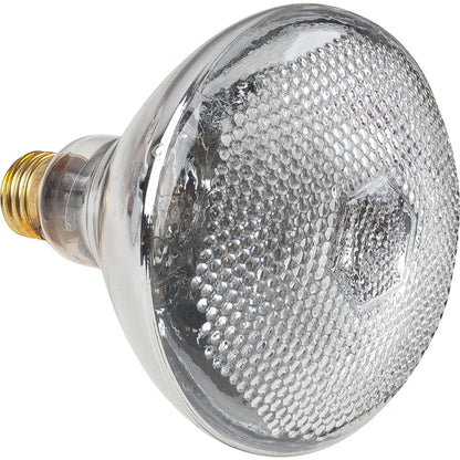 Economy Line Incandescent Lamps