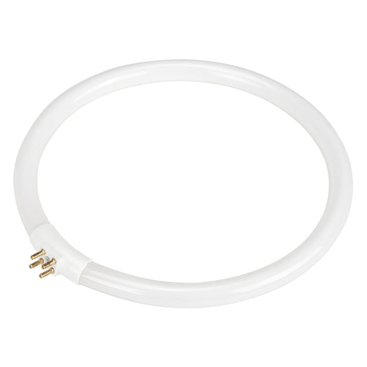 Replacement Fluorescent Bulb for Rhinomag Illuminated Magnifiers, 22 W