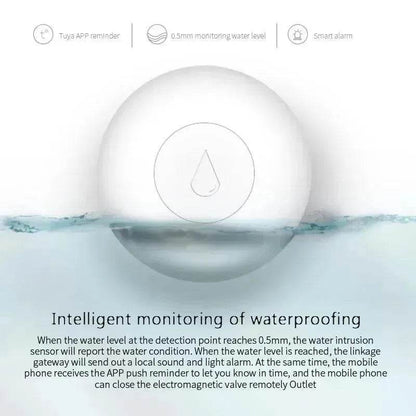 Zigbee Smart Wireless Water Sensor Flood Alarm Detector Smart Home FCCID Authentication